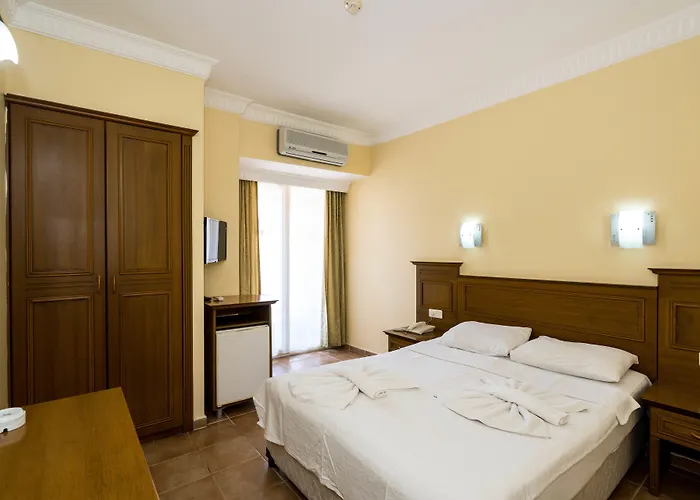 酒店 米雷酒店 3*